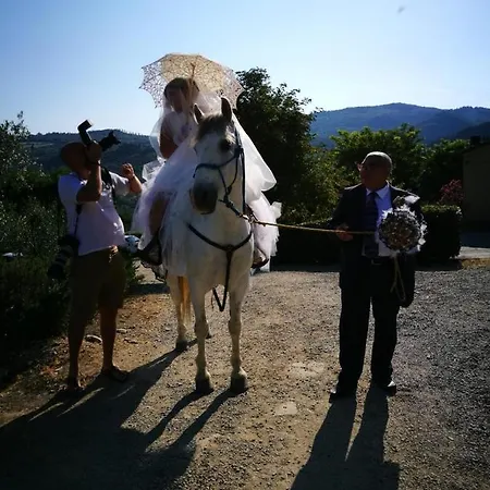 Antico Loggiato Lejlighedshotel *